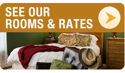 See Our Rooms and Rates