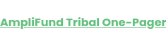 AmpliFund Tribal One-Pager