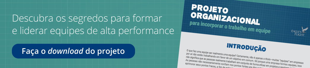 projeto-organizacional-para-formar-e-liderar-equipes