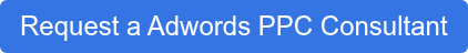 Request a Lead Generation Google PPC Consultant
