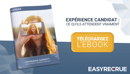 ebook experience candidat