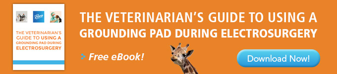 Vet's Guide to Using Grounding Pads