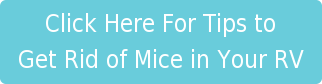 Get Rid of Mice in Your RV