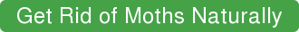 Get Rid of Moths Naturally