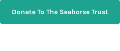 Donate To The Seahorse Trust