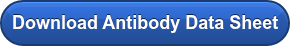Download Antibody Data Sheet