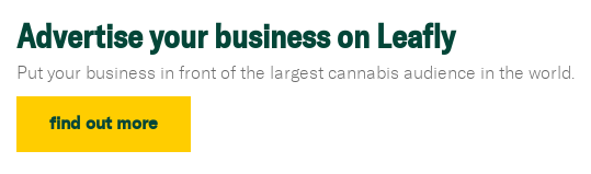 Advertise your business on Leafly Put your business in front of the largest cannabis audience in the world. Find out more