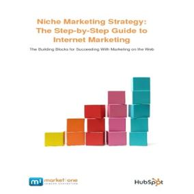 Market One Niche Marketing Strategy