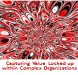 Capturing Value Locked within Complex Organizations
