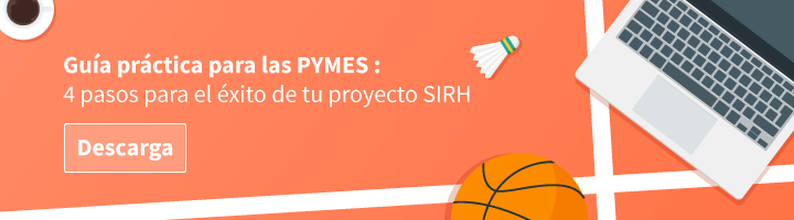 Guia pratica para las PYMES