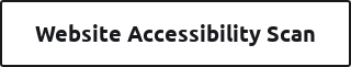 Website Accessibility Scan