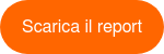 Scarica&nbsp;il&nbsp;report