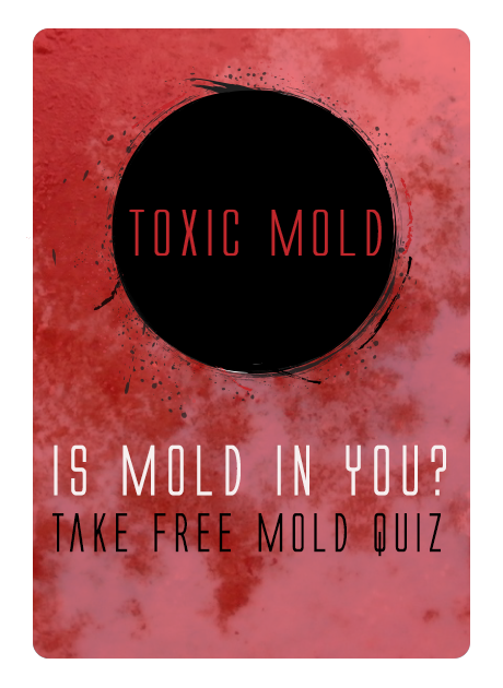 Free MOLD Quiz