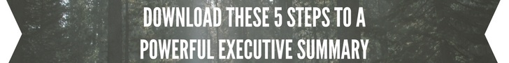 CorsPro 5 Steps to a Powerful Executive Summary