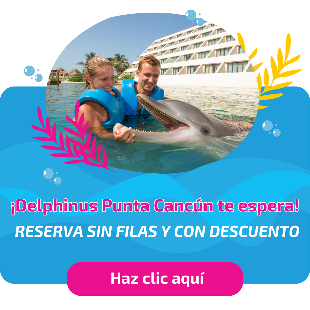 Nueva llamada a la acción