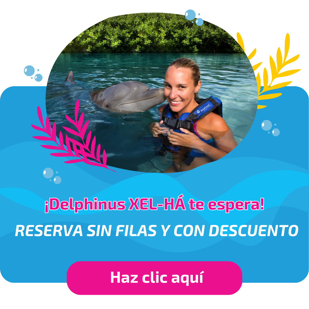 Nueva llamada a la acción