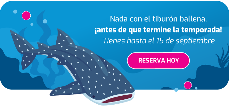Nueva llamada a la acción