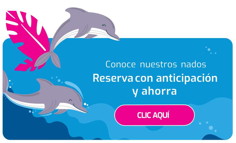 Nueva llamada a la acción