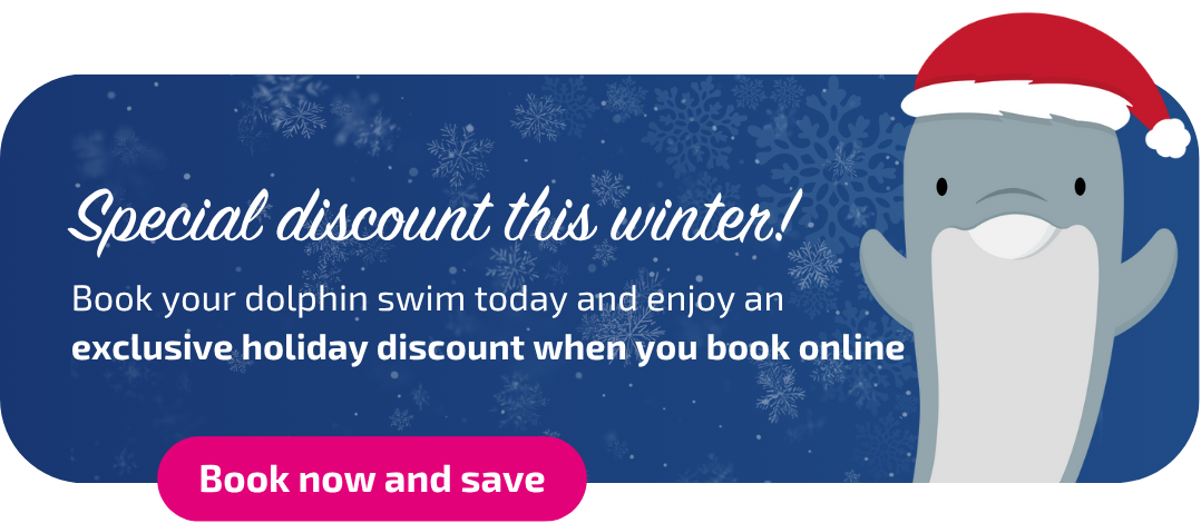 Nueva llamada a la acción