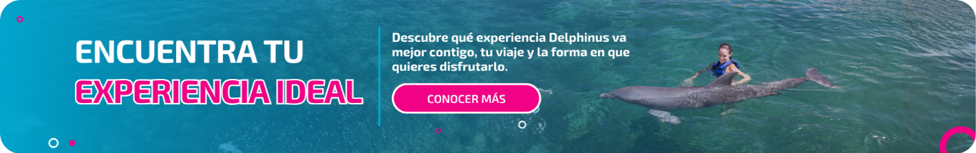 cta-reservar