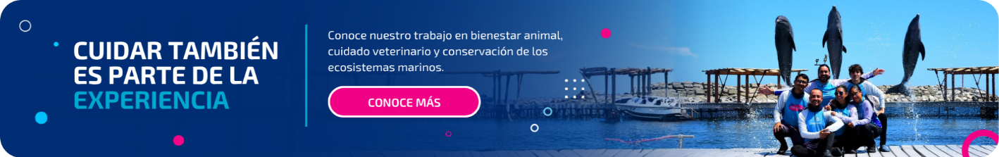 cta-conservacion