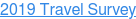 2019 Travel Survey