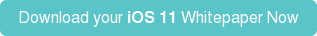 Download your iOS 11 Whitepaper Now
