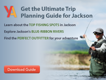 Jackson-Trip-Guide