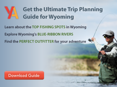 Wyoming-Trip-Guide