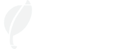 download our upgrade 1-pager