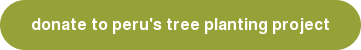 donate to peru's tree planting project