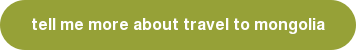 tell me more about travel to mongolia