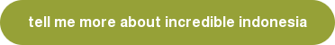 tell me more about incredible indonesia