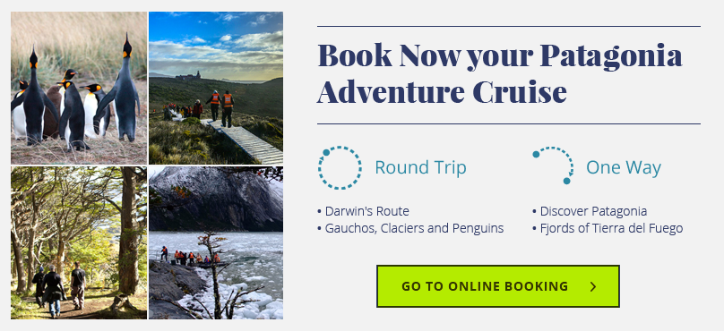 Discover Patagonia Adventure Cruises