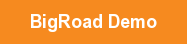 BigRoad Demo