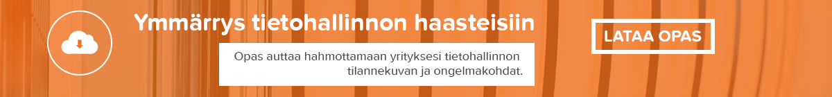 Ymmärrystä tietohallinnon haasteisiin. Lataa opas.