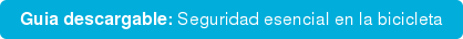 Guia descargable: Seguridad esencial en la bicicleta