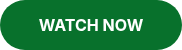 <strong>WATCH NOW</strong>