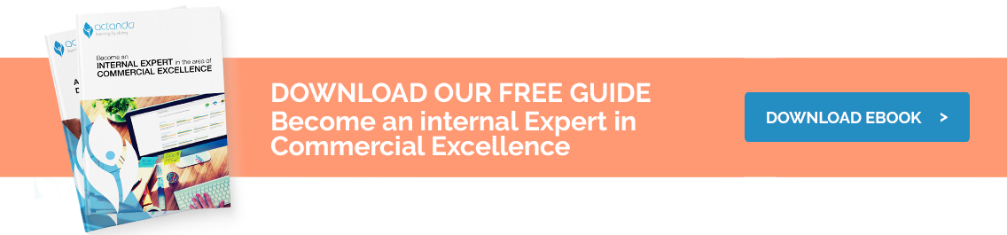 CTA-commecial-excellence-guide