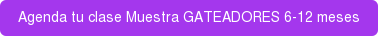Agenda tu clase Muestra GATEADORES 6-12 meses