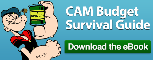 Free eBook | CAM Budget Survival Guide