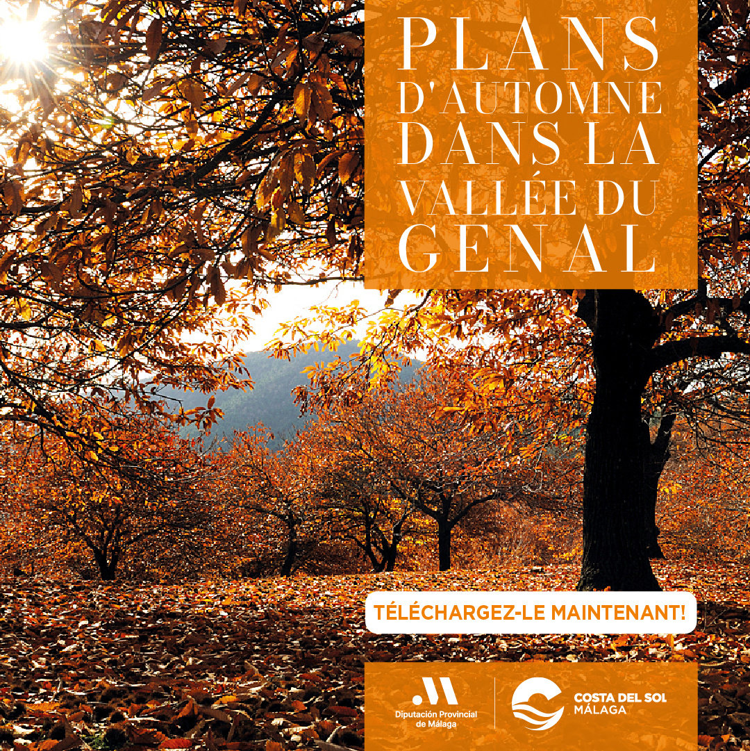 Nueva llamada a la acción