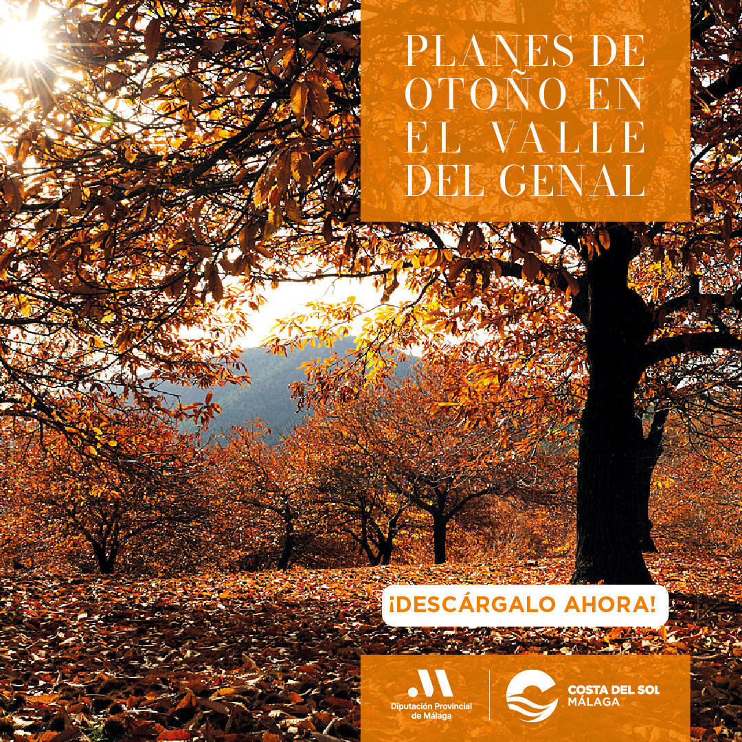 Nueva llamada a la acción