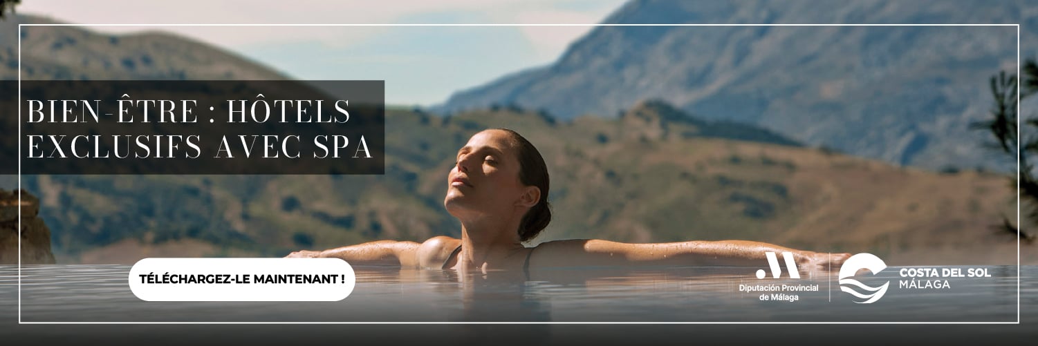 Ebook hoteles con spa - Horizontal (FR)