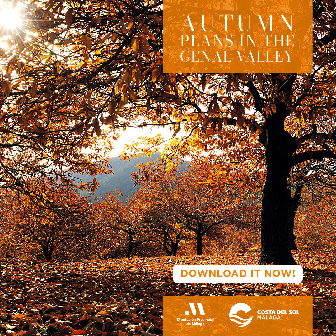 Nueva llamada a la acción