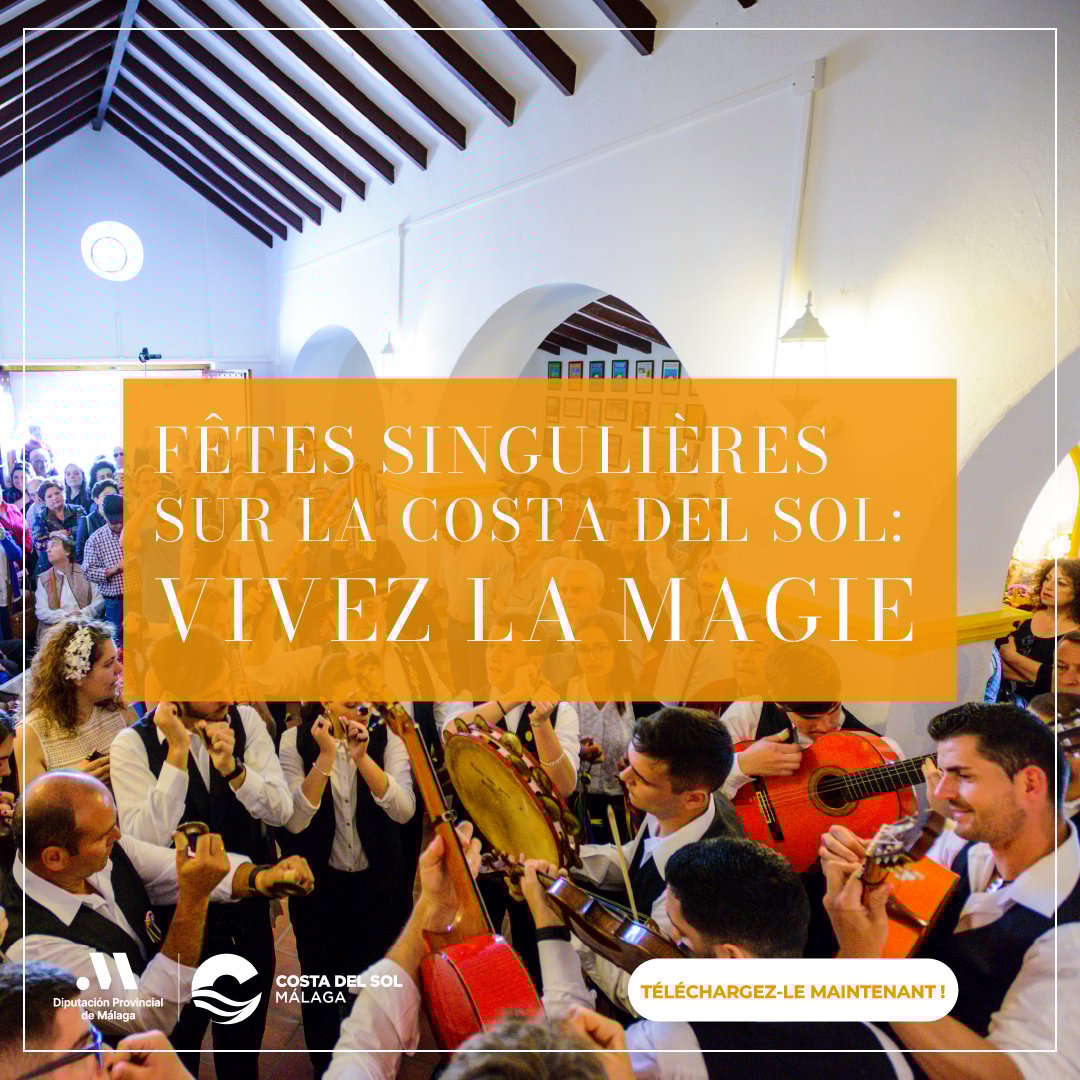 Ebook Fiestas Singulares (FR) - Cuadrado