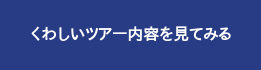 くわしいツアー内容を見てみる