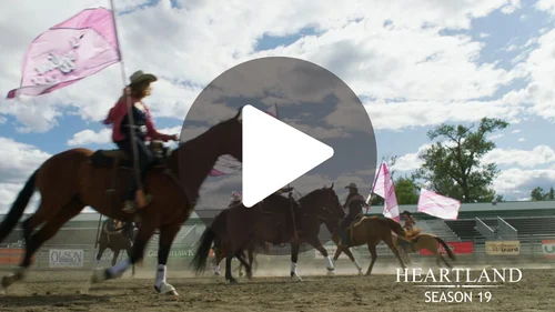 Landing Page- Heartland S19 Trailer