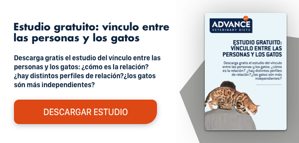 vínculo entre personas y mascotas