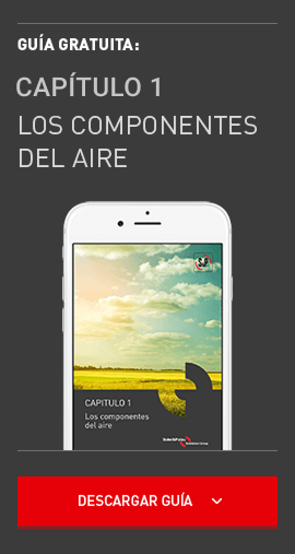 Capítulo 1: Los componentes del aire - Descargar guía